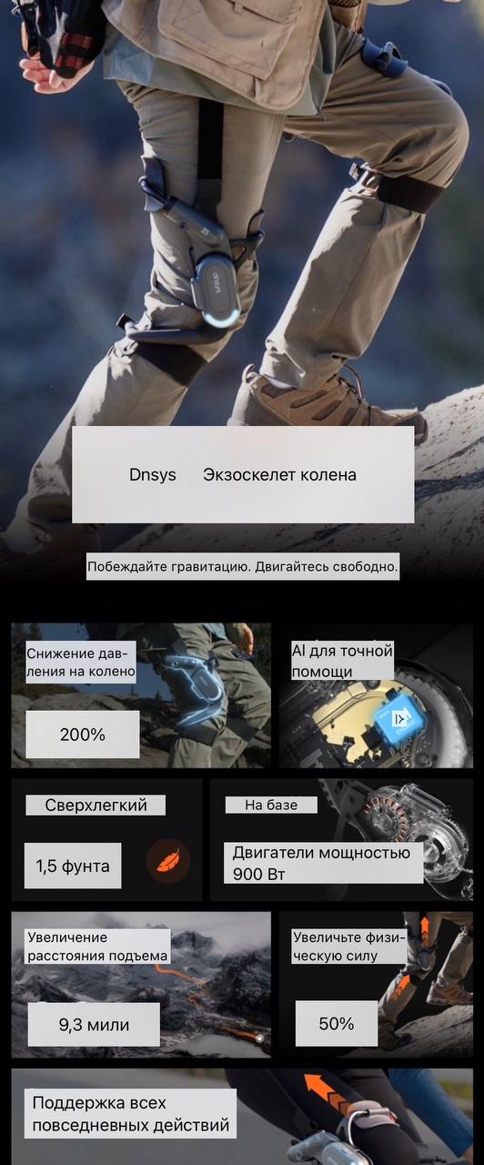 ключевые факты
